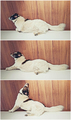 dolce far nien&hellip;