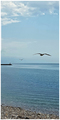 ... u vis hajt&hellip;