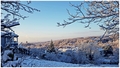 winter wonderl&hellip;