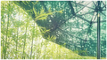 green green gr&hellip;