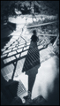chasing paveme&hellip;