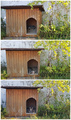 squatter level&hellip;