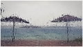 tears of rain