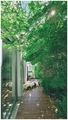 in the jungle,&hellip;