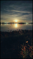 moonrise, medu&hellip;