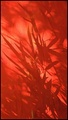 red heat