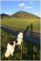 willst du imme&hellip;