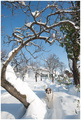 sunce (ili dva&hellip;