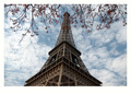 printemps pari&hellip;