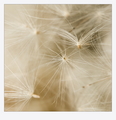 in dreams i wa&hellip;