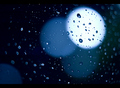 blue moon, you&hellip;