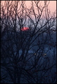 prvi ovogodisn&hellip;