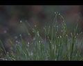 tears in heave&hellip;