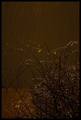 tears in heave&hellip;