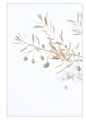 dust in the wi&hellip;