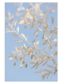 dust in the wi&hellip;