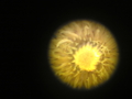 the eye in the&hellip;