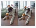 moje! a daaaj &hellip;