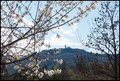 gracisce u dal&hellip;