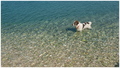 jadranska gust&hellip;