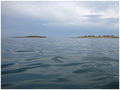 nel blu dipint&hellip;