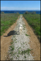 istra(u)zivanj&hellip;