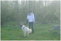 istra(u)zivanj&hellip;