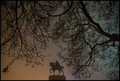 nocna straza i&hellip;