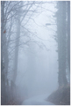 ... sve ulice &hellip;