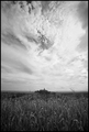 island in the &hellip;