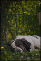 such a lazy da&hellip;
