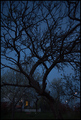 i smijesim se &hellip;