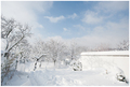days in white &hellip;