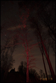lady in red is&hellip;