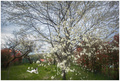 a whiter shade&hellip;