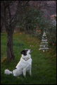 ... merry chri&hellip;