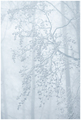 a whiter shade&hellip;