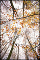 when autumn le&hellip;