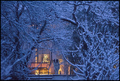 winter wonderl&hellip;