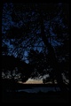 summer nights &hellip;
