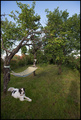 lazying on a t&hellip;