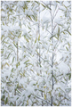 a whiter shade&hellip;