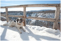 plitvicki pogl&hellip;