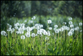 upon the field&hellip;