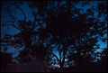 summer night b&hellip;