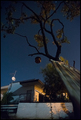 starry, starry&hellip;