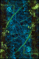 sum(a) neurona&hellip;