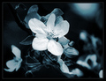 once in a blue&hellip;