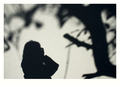 shadow on the &hellip;