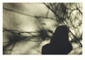 shadow on the &hellip;